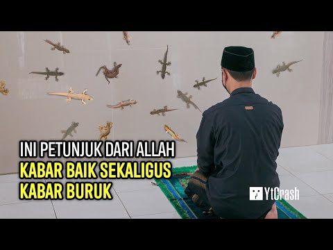 Video: Rekomendasi Vaksin Pemeriksaan Leptospirosis dan Tahunan