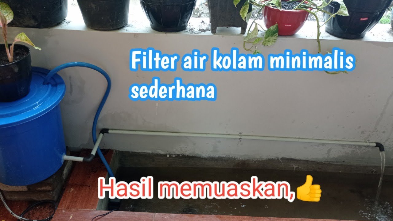 Menghadirkan Air Bersih untuk Budidaya Ikan: Tips Membuat Filter Kolam Sederhana Menghadirkan Air Bersih untuk Budidaya Ikan: Tips Membuat Filter Kolam Sederhana