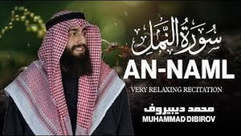 تلاوة مميزة من أجمل التلاوات 🎧❤️ من سورة النمل