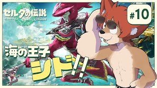 #１０【ゼルダの伝説ティアーズオブザキングダム】水質汚染のナゾ解明！！【上柴もーたろ】