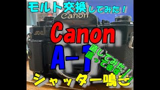 Canon（キャノン） A-1シャッター鳴き改善！今回はモルト張替に挑戦！！
