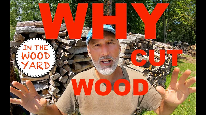 Why I cut Firewood! - #407