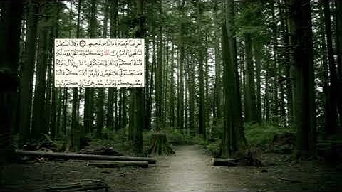 258- page سعد الغامدي - -سورة إبراهيم -Abraham (Ibrahim)14