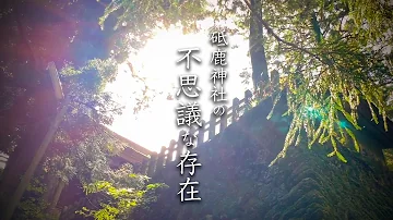 愛知中正神社mp3