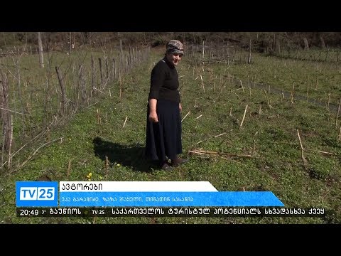 ქალები აჭარის მთიდან