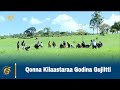 Qonna Kilaastaraa Godina Gujiitti