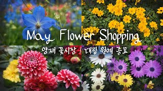 #4. May's New Flowers🌸ㅣHealing Flower Market in KorealLet's enjoy it together!! by 꽃을 든 강쥐 5,324 views 1 month ago 13 minutes, 58 seconds