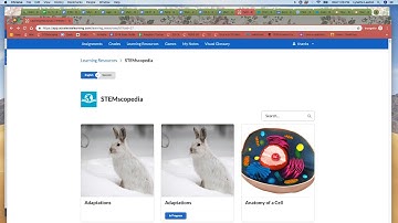 STEMscopedia Availability - Tips & Tricks | STEMscopes™