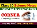CORNEA : Human Eye And Colorful World Class 10 Science Chapter Notes In Hindi and English NCERT