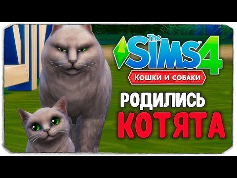 Wideo: Dodatek The Sims 4 Koty I Psy Pojawi Się W Listopadzie