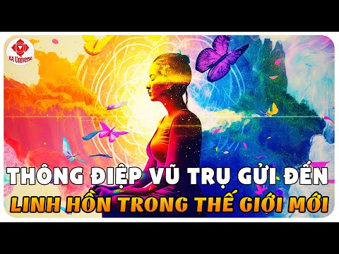 Vũ Trụ Diễn Sinh: Kỳ 1. Gieo Mầm Hỗn Độn, Vũ Trụ Diễn Sinh