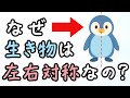 なぜ生命は左右対称なのか【小学生でもわかる・ざっくり解説】