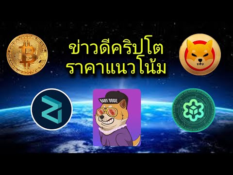 จับตา SHIB BaBy Doge ELON และราคา BTC APE ZIL GMT BTZ ELON รอการประชุม FED