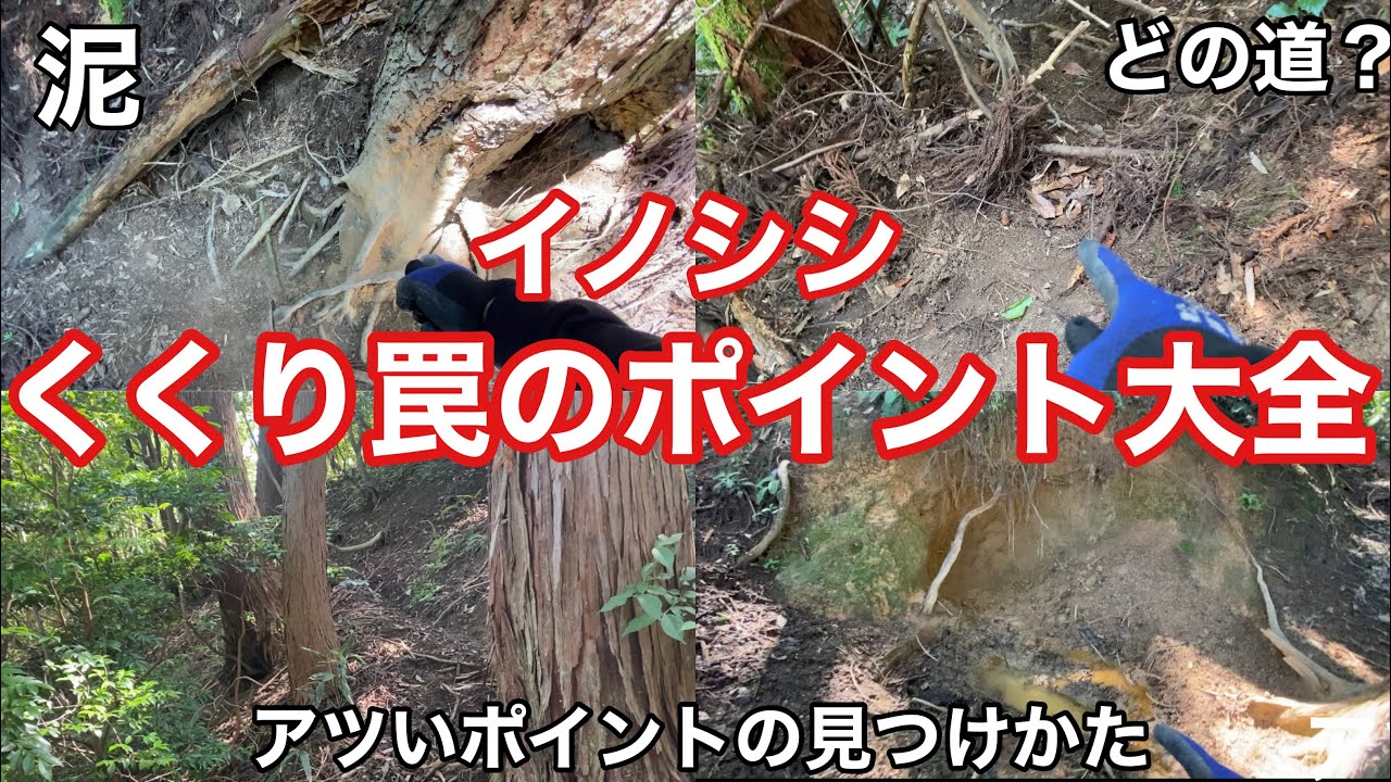 【くくり罠のポイント大全】見つけ方、場所の選定、テクニック