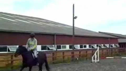 My first horse jumping contest.