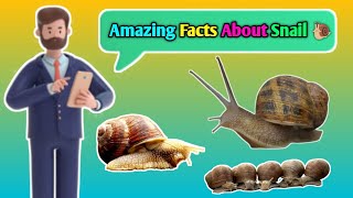 Amazing Facts About Snail 🐌