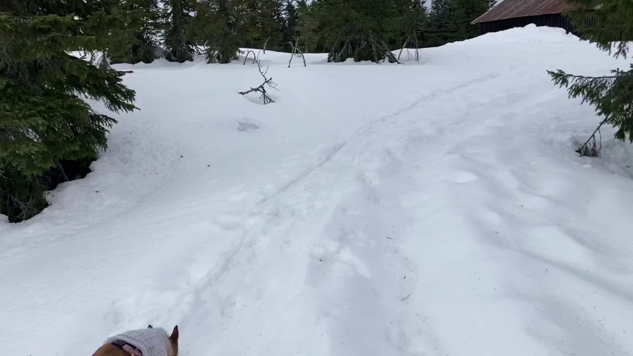 Nordhue SoTa in Norway