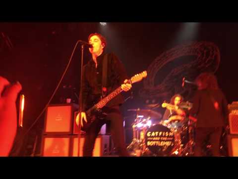 Catfish and The Bottlemen (HD) - Soundcheck @ Brooklyn Steel, NY 05/06/17 from YouTube · High Definition · Duration: 4 minutes 53 seconds · 165 views · uploaded on 5/13/2017 · uploaded by Jose Murucci Catfish and The Bottlemen (HD) - Soundcheck @ Brooklyn Steel, NY 05/06/17 from YouTube · High Definition · Duration: 4 minutes 53 seconds · 165 views · uploaded on 5/13/2017 · uploaded by Jose Murucci