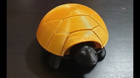 3D Printed Squishy Turtle