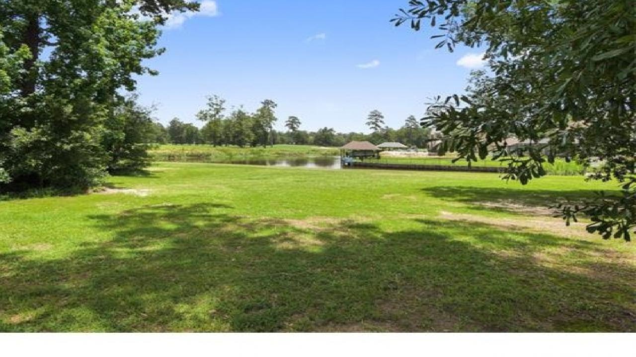 24176 SNOWY EGRET Cove, Springfield, LA Presented by Anna Bottolfs.