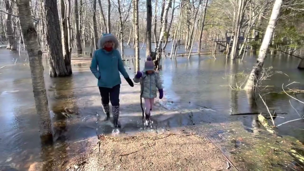 The Great Meadow Flood