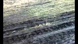 11122011026