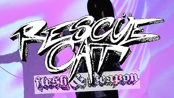 Rescüe Cat - Flesh & weapon (Official Video)