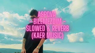 Aspova - Bilemezdim - SLOWED & REVERB (KAER MUSIC) Resimi