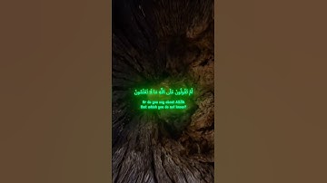 تلاوة خاشعة و شجية بصوت القارئ عبدالرحمن ناجي لسورة البقرة #عبدالرحمن_ناجي#محمد_اللحيدان #المصحف