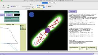 01 what does ABM do and what is complex pattern with Ant model