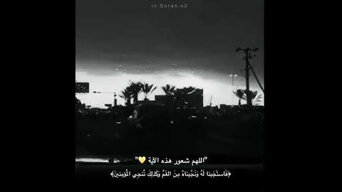 استمع لصوت الطمأنينة صوت⚘😔♥️ - القارئ اسلام صبحي - حالات واتس اب دينيه - مقاطع انستقرام دينيه
