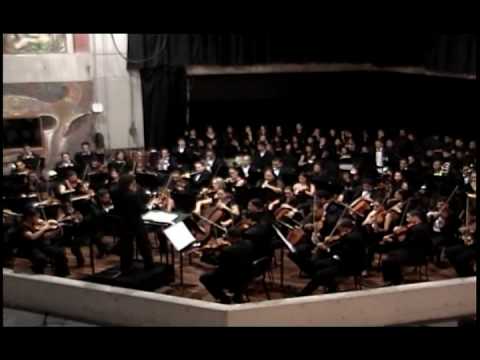 Beethoven 9th Symphony 2nd Movement - part I