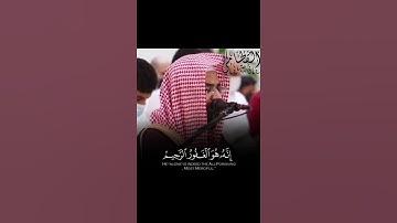 تلاوة مؤثرة للشيخ ناصر القطامي 🍂🧡