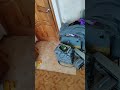 Бардак на душе😊