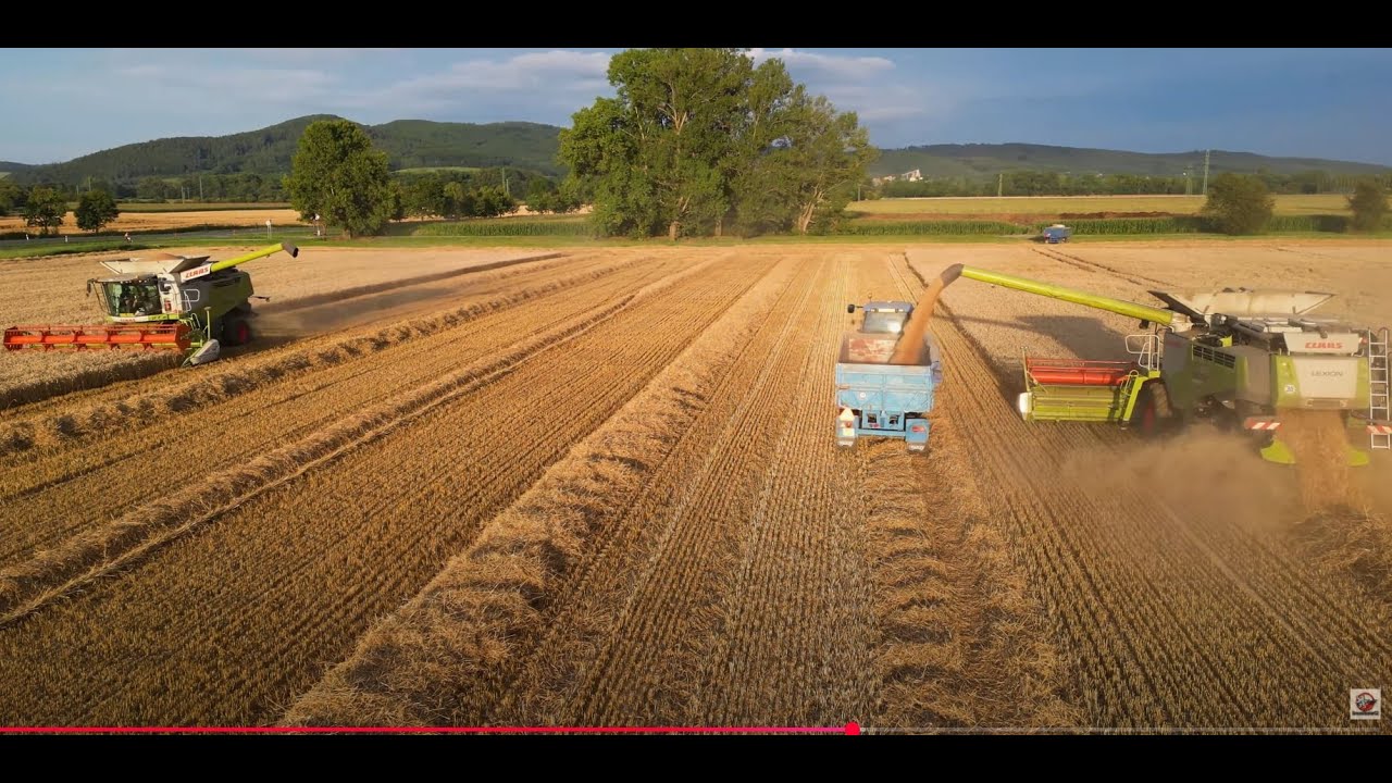 Žně 2025 Severní Morava.  Harvest  2025   Nordmähren.