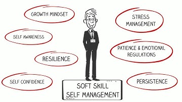 What are Soft Skills