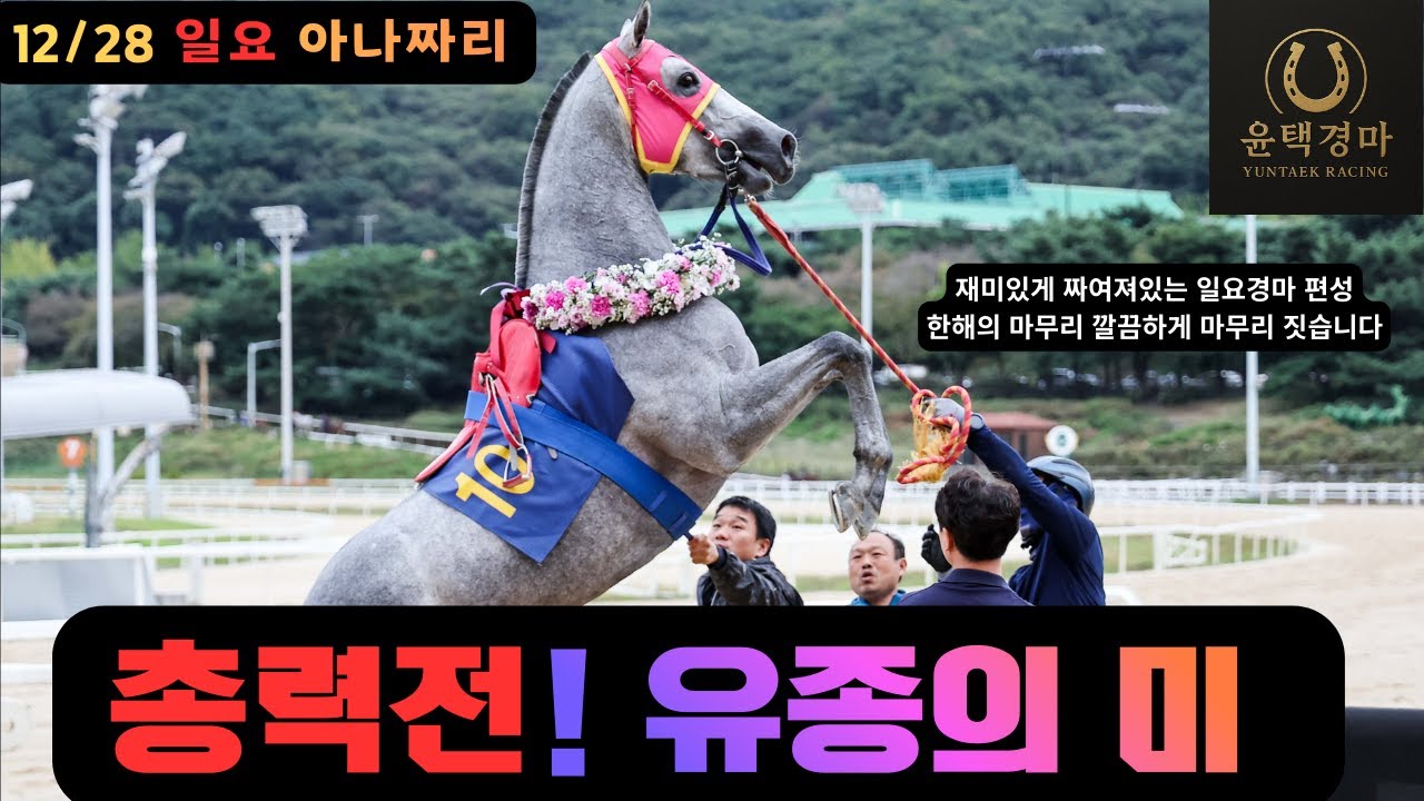 12/28 일요경마 아나짜리 여부가 있겠습니까! 충성!