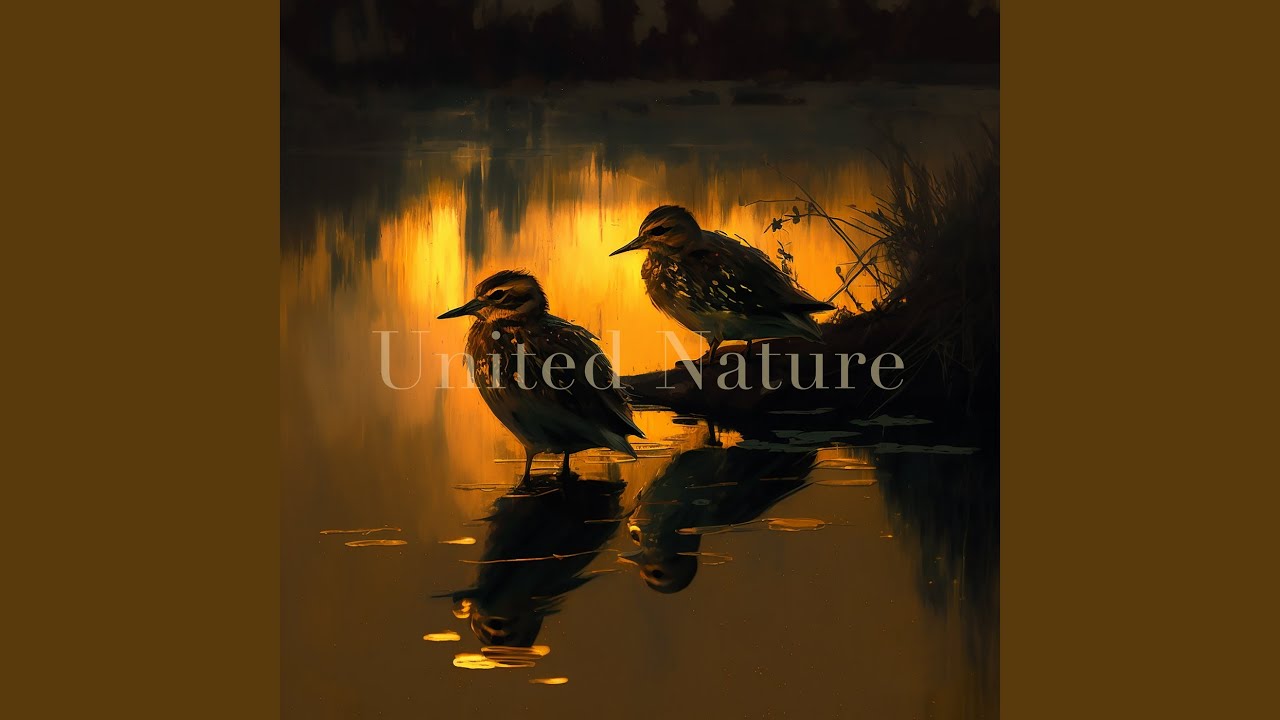 Watch First Light (Rain) on YouTube Watch First Light (Rain) on YouTube