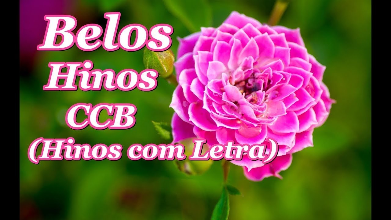 Lindos Hinos CCB (Com Letra) Cantados Hinário 5, Hinos CCB - YouTube