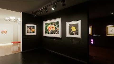 UE5 Lumen Lighting: The Gallery - Virtual Art. Unreal Engine Interior Scene