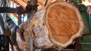 The beautiful grain of old teak wood is profitable when sawed at the sawmill. 