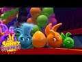 SUNNY BUNNIES Sunny Circus Season 1 Cartoons For Children 