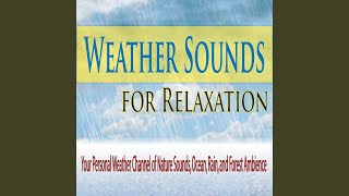 Window Rain Sounds (Weather Channel Sounds)