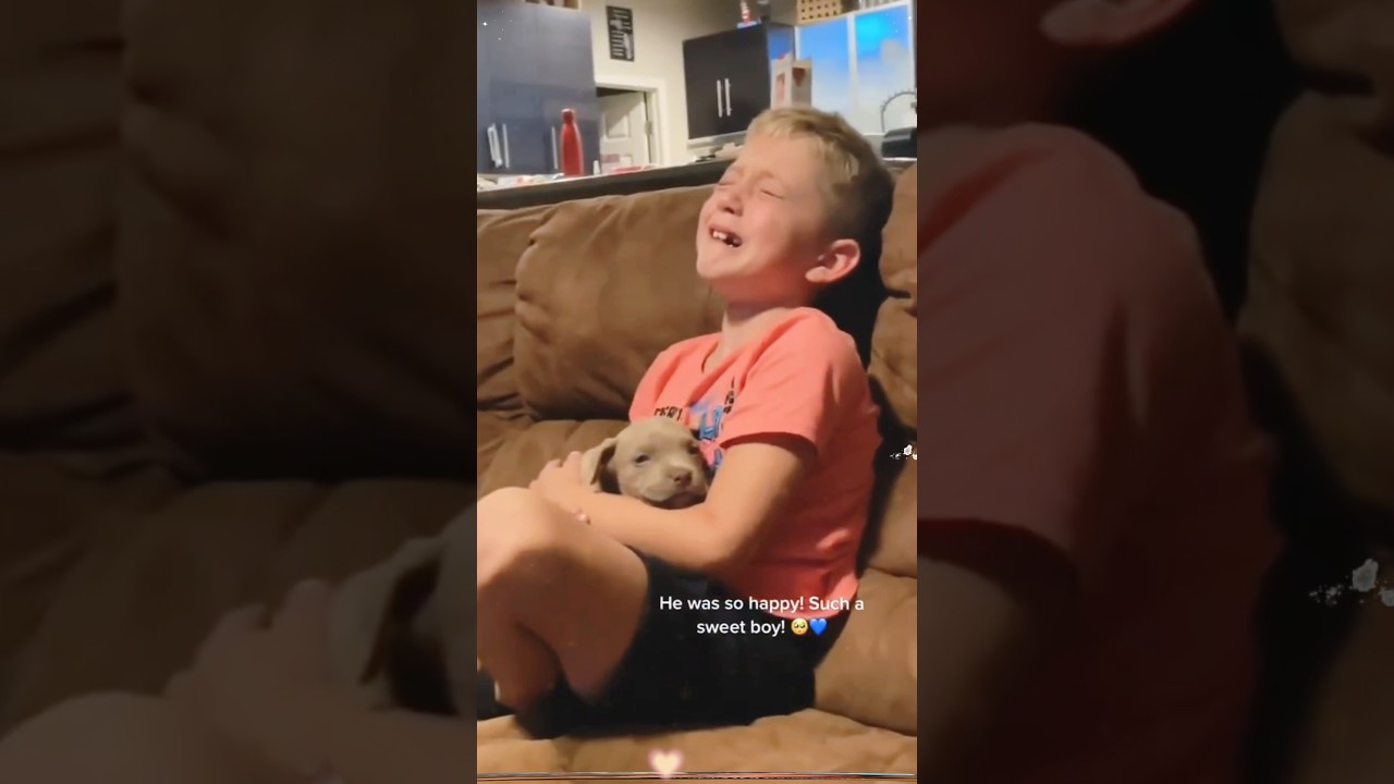 🥰This gift wags its tail❤️#dog #Love #baby #fyp #bestfriend