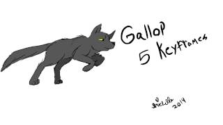 simple animated wolf run and walk