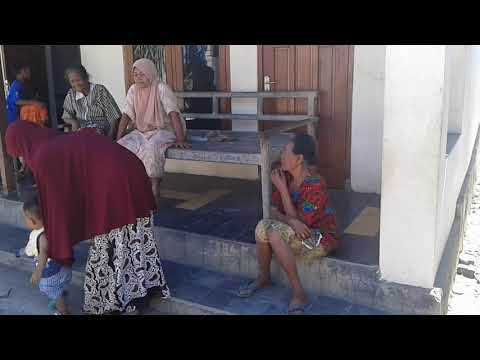 Jemur Gabah Dry The Grain Chicken Is Prohibited By Claws Eat May