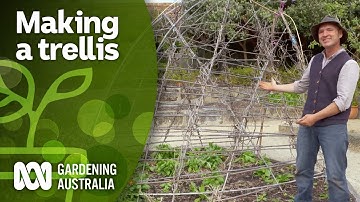 How to build a trellis for your climbing plants | DIY Garden Projects | Gardening Australia