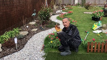 C24 VƯỜN HOA TULIP VỚI 999 BÔNG KHOE SẮC🌷vườn Hùng Anh Cz