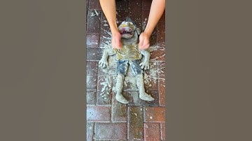 This Jeffy Puppet Took 8 Hours To Clean😭