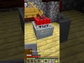 MINECRAFT PRO 🧐